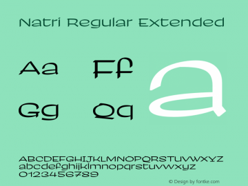 Natri Regular Extended Version 1.000;Glyphs 3.2 (3179)图片样张