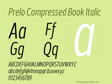 Prelo Compressed Book Italic Version 1.001;FEAKit 1.0图片样张