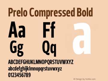 Prelo Compressed Bold Version 1.001;FEAKit 1.0图片样张