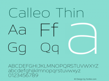Calleo Thin Version 1.0图片样张