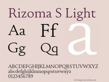 Rizoma S Light Version 1.001图片样张