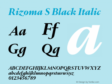 Rizoma S Black Italic Version 1.001图片样张