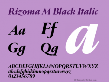 Rizoma M Black Italic Version 1.001图片样张