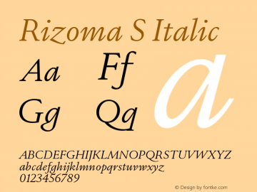 Rizoma S Italic Version 1.001图片样张