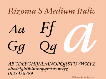 Rizoma S Medium Italic Version 1.001图片样张