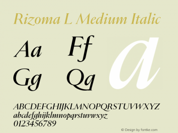 Rizoma L Medium Italic Version 1.001图片样张