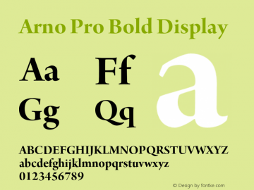 ArnoPro-BoldDisplay Version 1.084;PS 1.005;hotconv 1.0.67;makeotf.lib2.5.33168图片样张