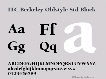 BerkeleyStd-Black Version 2.082;PS 005.000;hotconv 1.0.67;makeotf.lib2.5.33168图片样张