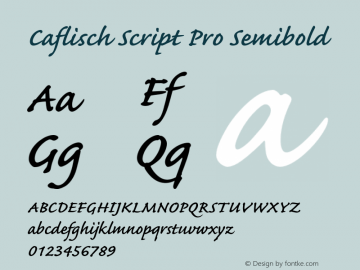 CaflischScriptPro-Semibold Version 2.115;PS 2.000;hotconv 1.0.70;makeotf.lib2.5.58329图片样张