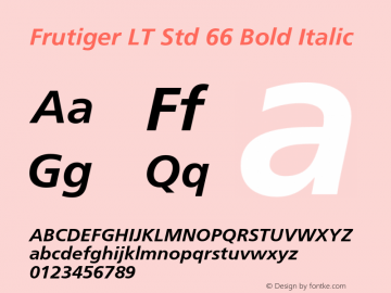 FrutigerLTStd-BoldItalic Version 2.101;PS 005.000;hotconv 1.0.67;makeotf.lib2.5.33168图片样张