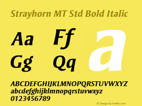 StrayhornMTStd-BoldItalic Version 2.106;PS 005.000;hotconv 1.0.67;makeotf.lib2.5.33168图片样张