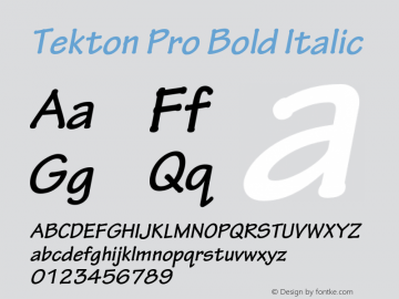 TektonPro-BoldObl Version 2.073;PS 2.000;hotconv 1.0.70;makeotf.lib2.5.5900图片样张