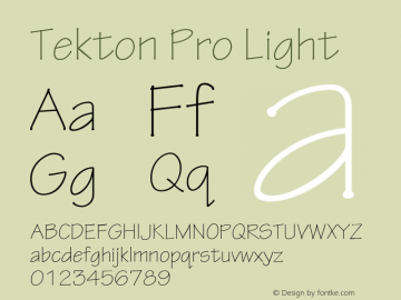 TektonPro-Light Version 2.073;PS 2.000;hotconv 1.0.70;makeotf.lib2.5.5900图片样张