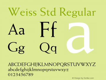 WeissStd Version 2.076;PS 005.000;hotconv 1.0.67;makeotf.lib2.5.33168图片样张
