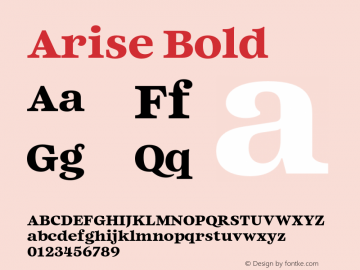 Arise Bold Version 1.100;FEAKit 1.0图片样张