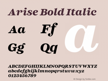 Arise Bold Italic Version 1.100;FEAKit 1.0图片样张