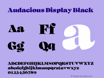 Audacious Display Black Version 1.100;FEAKit 1.0图片样张