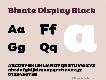 Binate Display Black Version 1.00图片样张