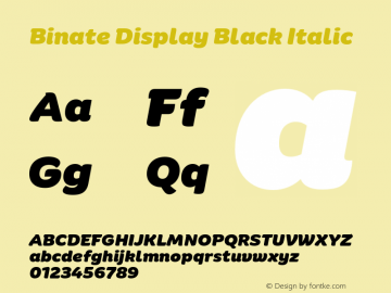 Binate Display Black Italic Version 1.10图片样张