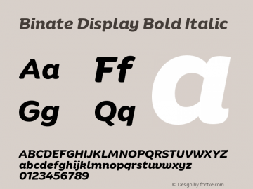 Binate Display Bold Italic Version 1.10图片样张