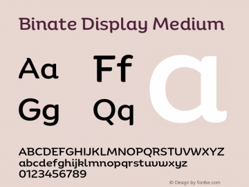 Binate Display Medium Version 1.00图片样张