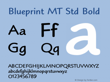 Blueprint MT Std Bold Version 1.00 Build 1000图片样张