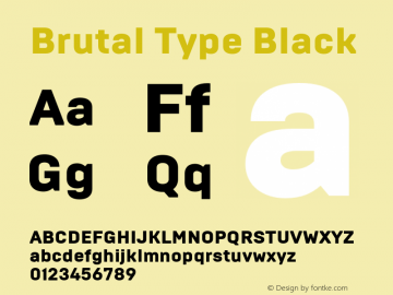 Brutal Type Black Version 1.002 | FøM Fix图片样张