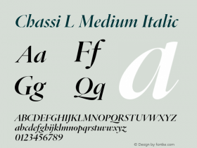 Chassi L Medium Italic Version 1.003 | web-ttf图片样张