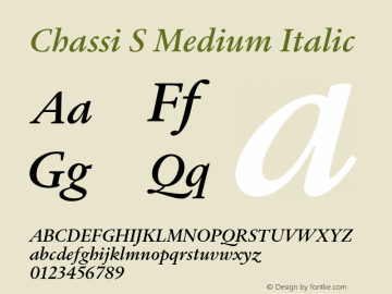 Chassi S Medium Italic Version 1.003 | web-ttf图片样张