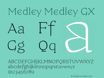 Medley Medley GX Version 1.000; Glyphs 3.0.3, build 3083图片样张