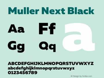 Muller Next Black Version 2.000图片样张