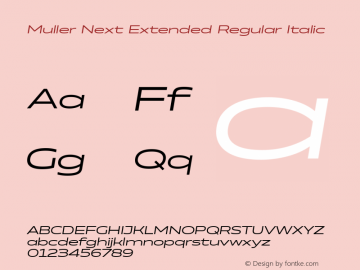 Muller Next Extended Regular Italic Version 2.000图片样张
