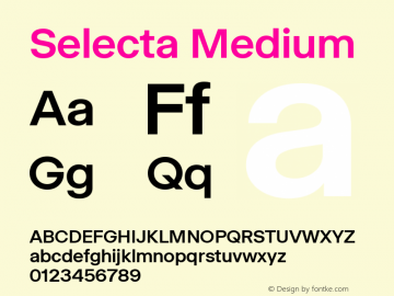 Selecta Medium Version 1.001; ttfautohint (v1.8)图片样张