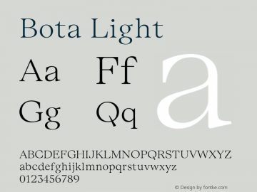 Bota Light Version 2.001;FEAKit 1.0图片样张