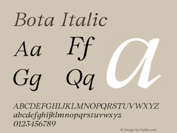 Bota Italic Version 2.001;FEAKit 1.0图片样张