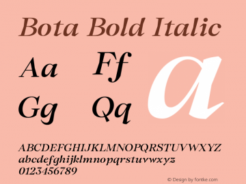 Bota Bold Italic Version 2.001;FEAKit 1.0图片样张