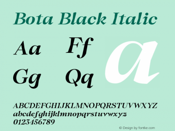 Bota Black Italic Version 2.001;FEAKit 1.0图片样张