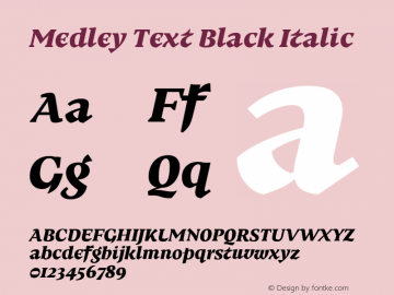 Medley Text Black Italic Version 1.000 | web-ttf图片样张