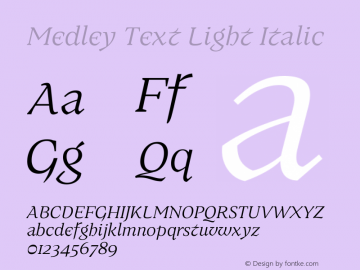 Medley Text Light Italic Version 1.000 | web-ttf图片样张