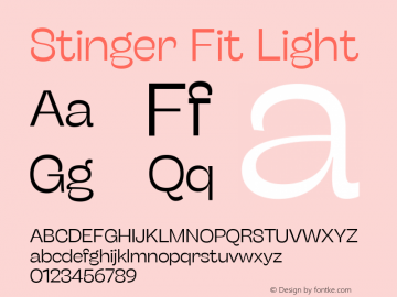 Stinger Fit Light Version 1.006 (2020-04-20) | FøM Fix图片样张