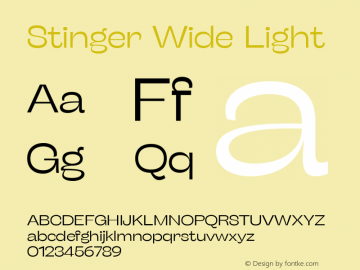 Stinger Wide Light Version 1.006 (2020-04-20) | FøM Fix图片样张