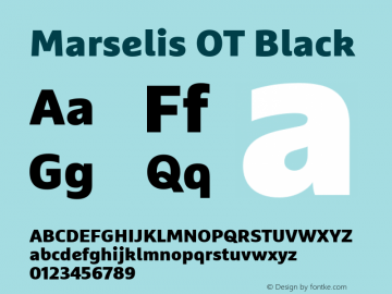 Marselis OT Black Version 7.600, build 1028, FoPs, FL 5.04图片样张