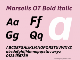 Marselis OT Bold Italic Version 7.600, build 1028, FoPs, FL 5.04图片样张