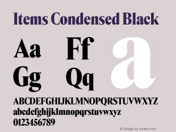 Items Condensed Black Version 1.001 | FøM Fix图片样张