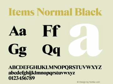 Items Normal Black Version 1.001 | FøM Fix图片样张