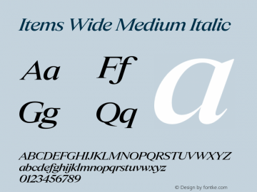 Items Wide Medium Italic Version 1.001 | FøM Fix图片样张