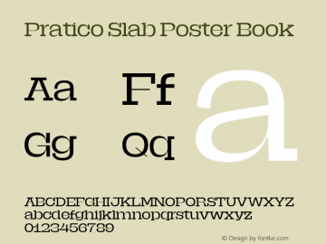 Pratico Slab Poster Book Version 1.002;Glyphs 3.1.1 (3148)图片样张