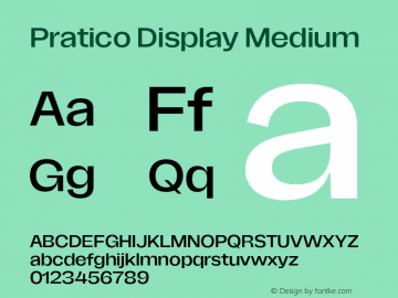 Pratico Display Medium Version 1.002;Glyphs 3.1.1 (3148)图片样张