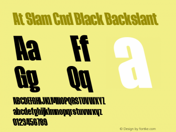 At Slam Cnd Black Backslant Version 1.000;FEAKit 1.0图片样张