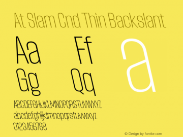 At Slam Cnd Thin Backslant Version 1.000;FEAKit 1.0图片样张